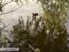 Lacul Brateni